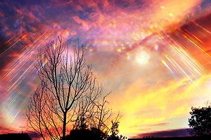Home. Reiki